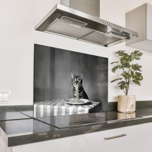 Parafango in alluminio - Bengala - Gatto - Tovaglia - Nero - Bianco - Animale