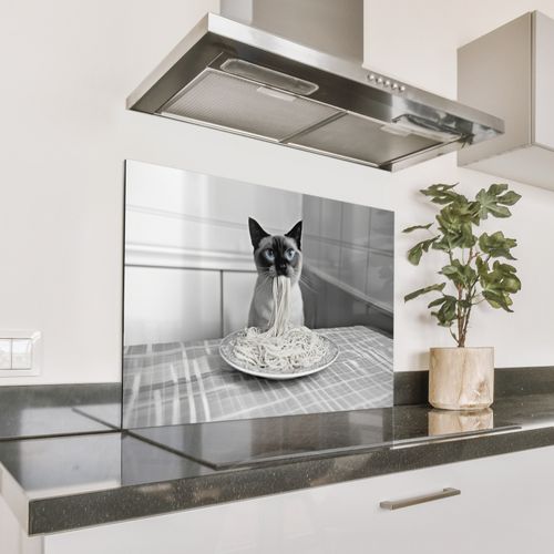 Parafango in alluminio - Gatto - Siamese - Bianco e nero - Carino - Animali
