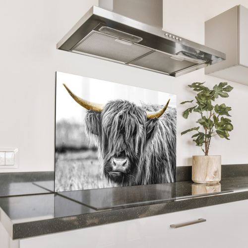 Parafango in alluminio - Sguardo dell'Highlander