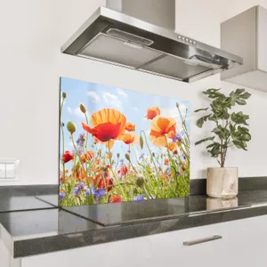 Parafango in alluminio - Danza estiva dei papaveri