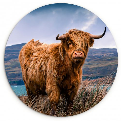 Quadro rotondo - Signore delle Highlands