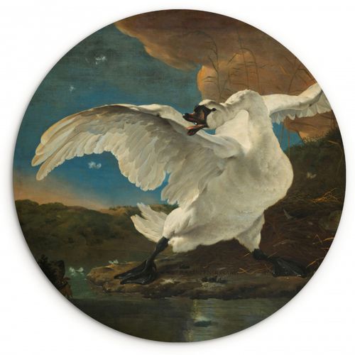 Quadro rotondo - Il cigno in pericolo