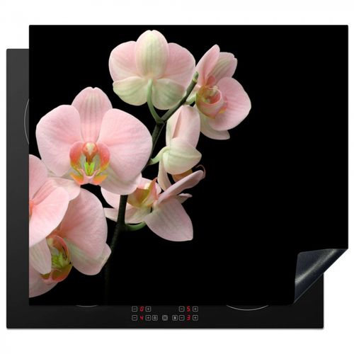 Protezione piano induzione - Rosa tenue Orchidea Whisper