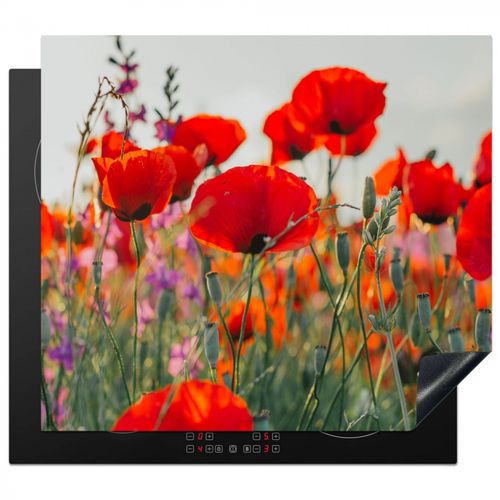 Protezione piano induzione - Papaveri all'alba
