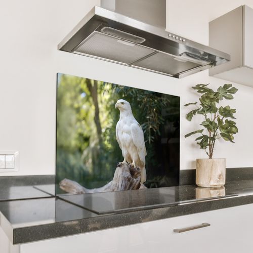 Aquila - Legno - Bianco - Piante