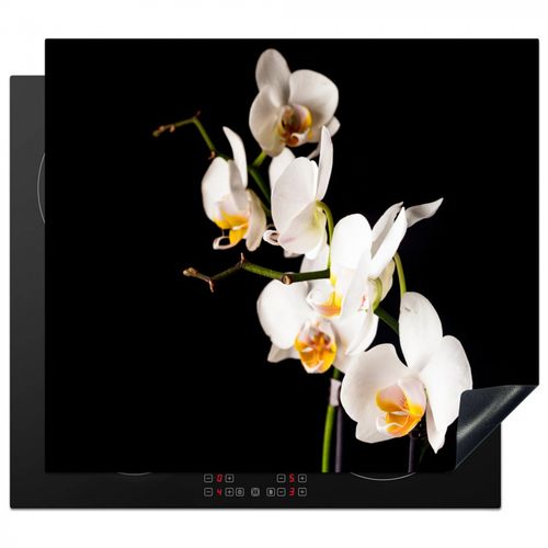 Protezione piano induzione - Ramo dell'orchidea celeste