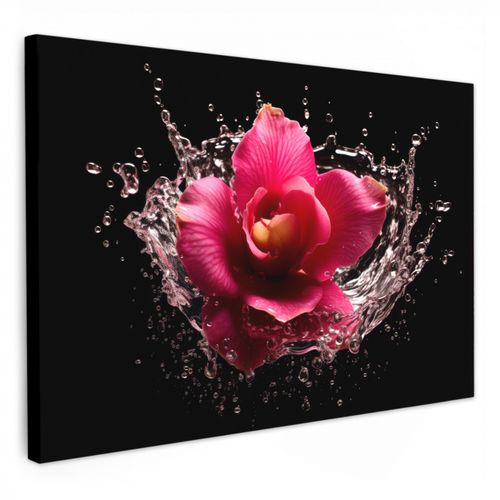 Dipinti su tela - Fiori - Rosa - Acqua - Nero - Botanica - Natura