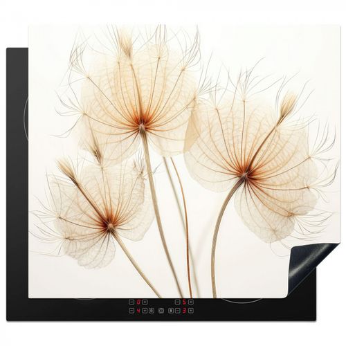 Protezione piano induzione - Eleganza in trasparenza
