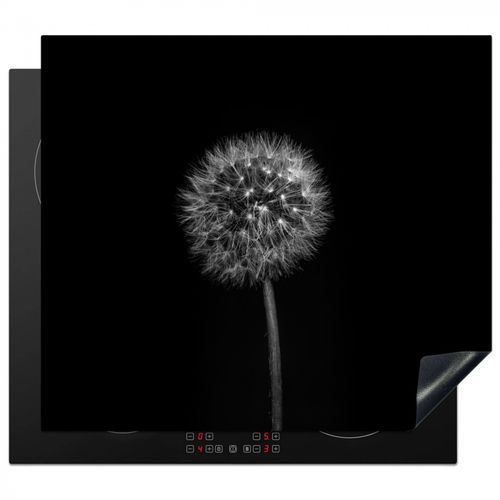 Notte stellata da Dandelion