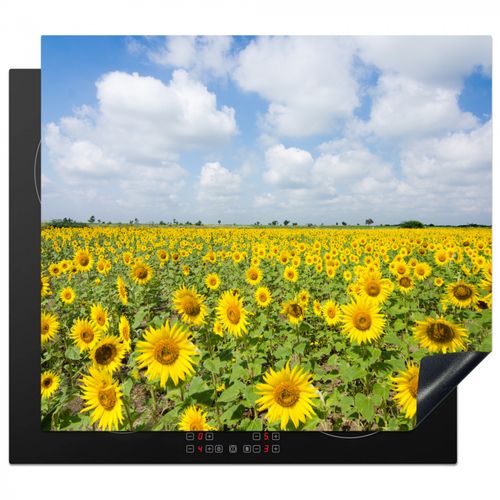 Protezione piano induzione - Orizzonte di girasoli