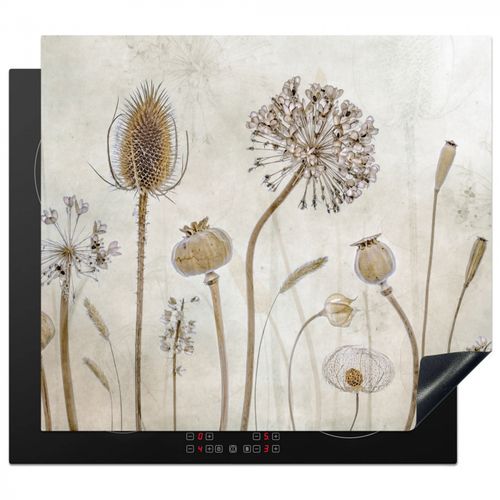 Protezione piano induzione - Eleganza botanica in seppia