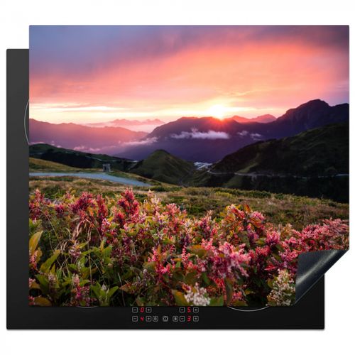 Protezione piano induzione - Bagliori alpini e fiori selvatici