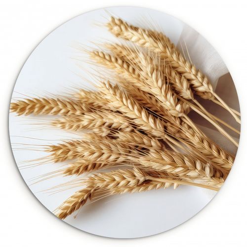 Quadro rotondo - Grano dorato