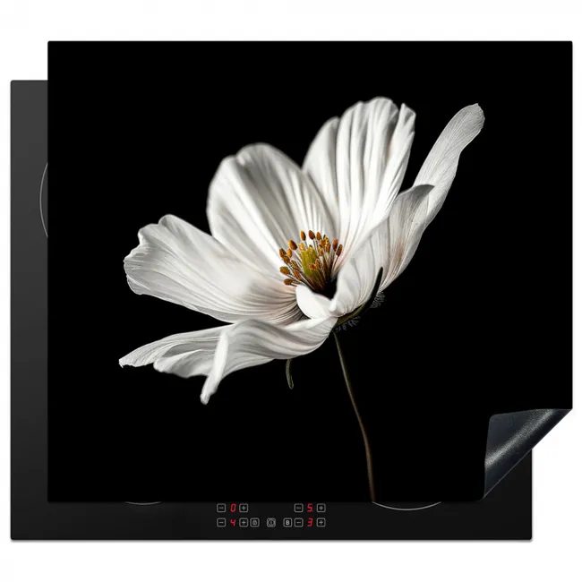 Protezione piano induzione - Solista della seta