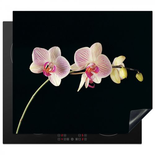 Protezione piano induzione - Orchidea - Fiori - Nero - Rosa - Bottoni
