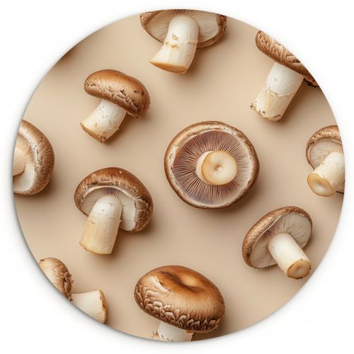 Quadro rotondo - Funghi di castagno - Beige