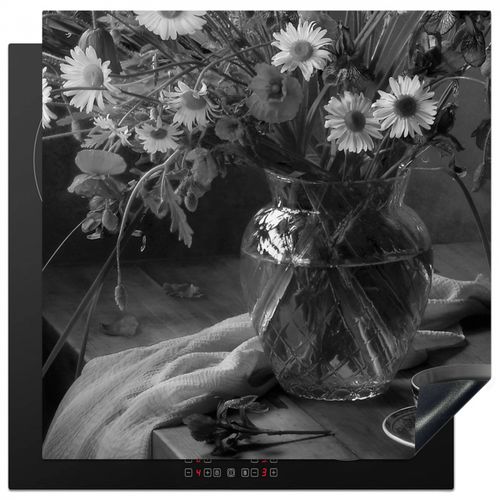 Protezione piano induzione - Momento monocromatico