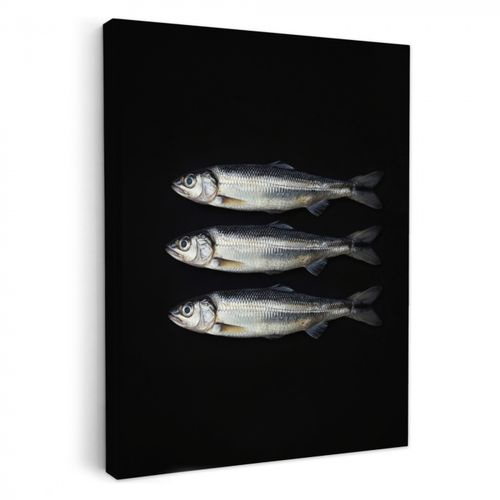 Dipinti su tela - Aringa - Pesce - Nero