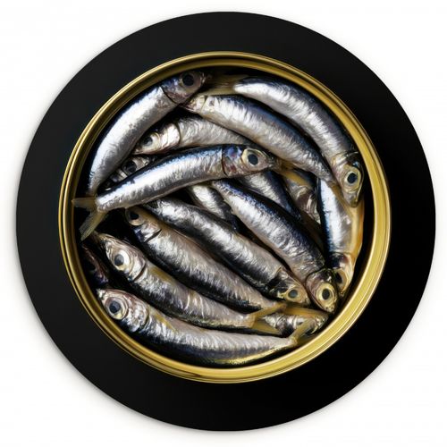 Quadro rotondo - Sardine - Pesce - Rotondo - Nero