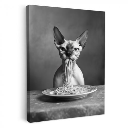 Dipinti su tela - Sphynx - Gatto - Animali - Umorismo - Spaghetti - Bianco e nero
