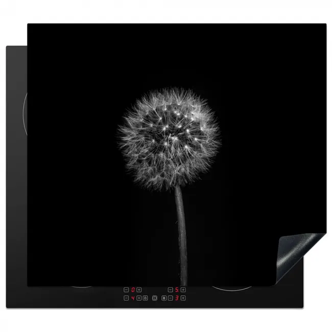 Protezione piano induzione - Notte stellata da Dandelion