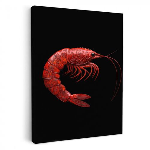 Dipinti su tela - Gambero - Rosso - Animali