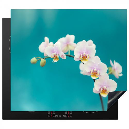Protezione piano induzione - Orchidee Aqua Bliss