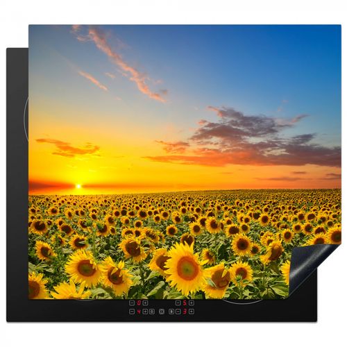 Protezione piano induzione - Tramonto sul Regno dei Girasoli