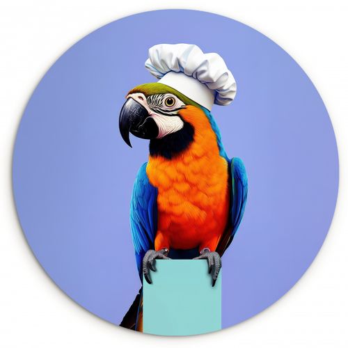 Quadro rotondo - Pappagallo - Cappello da cuoco - Uccello - Divertimento