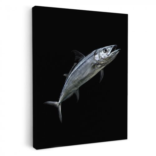 Dipinti su tela - Sgombro - Pesce - Nero