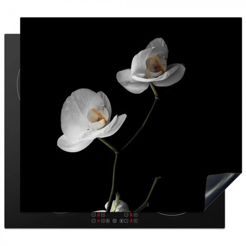 Protezione piano induzione - Eleganza notturna delle orchidee