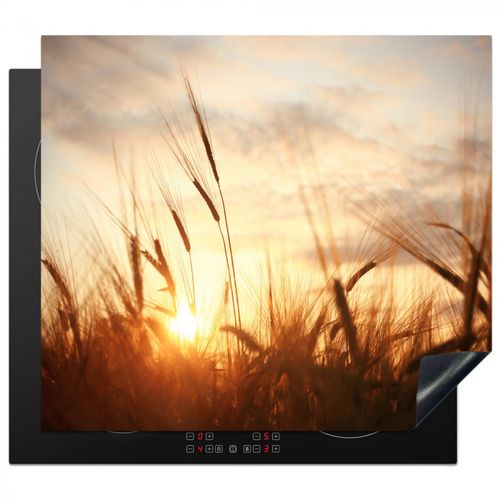 Protezione piano induzione - Il tramonto attraverso il grano