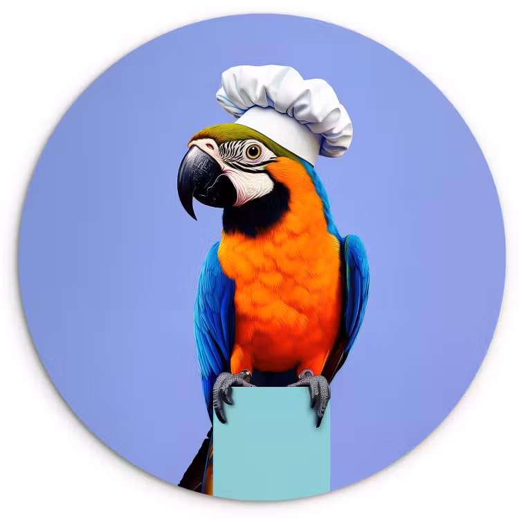 Quadro rotondo - Pappagallo - Cappello da cuoco - Uccello - Divertimento — 1