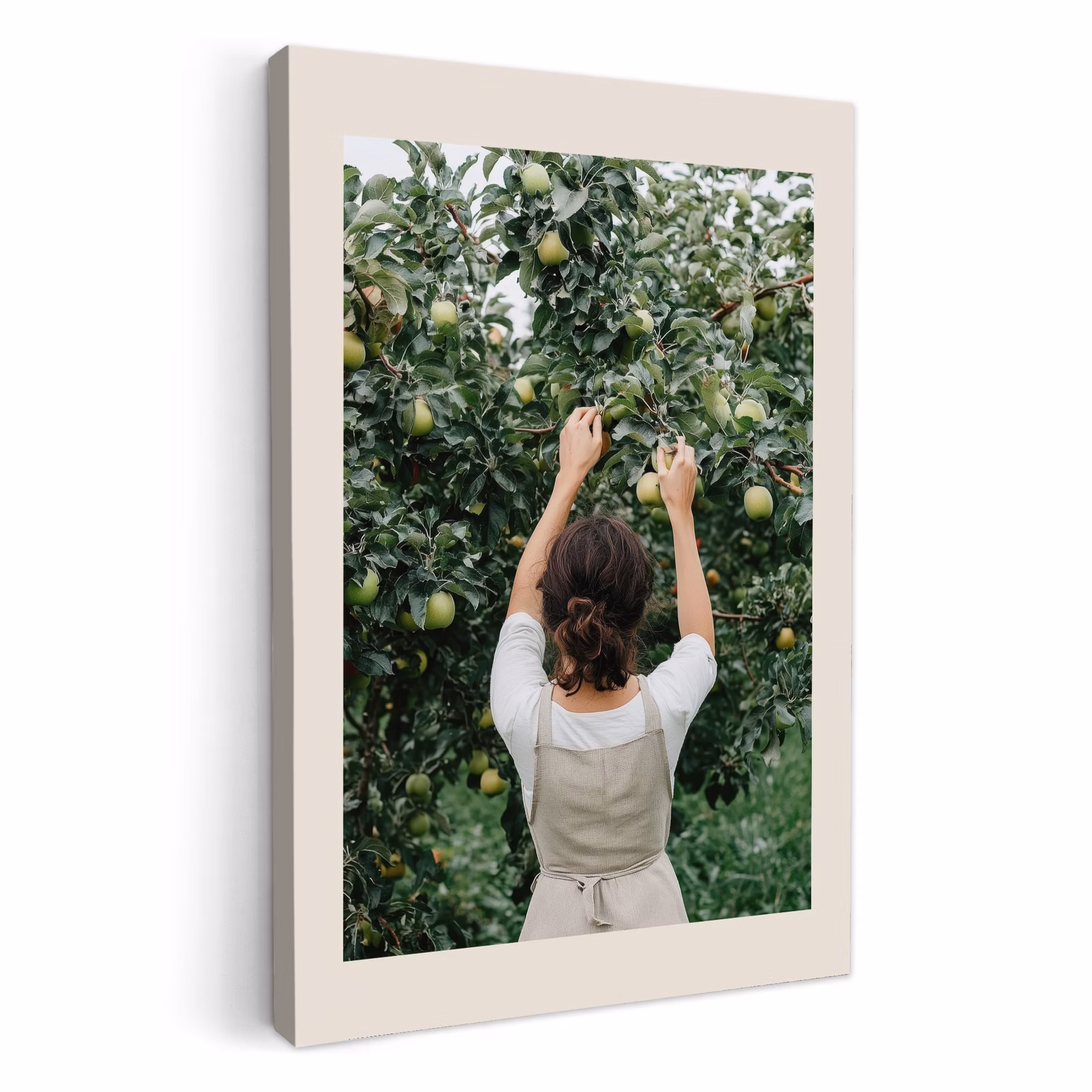 Dipinti su tela - Albero - Mele - Raccolta - Natura — 1