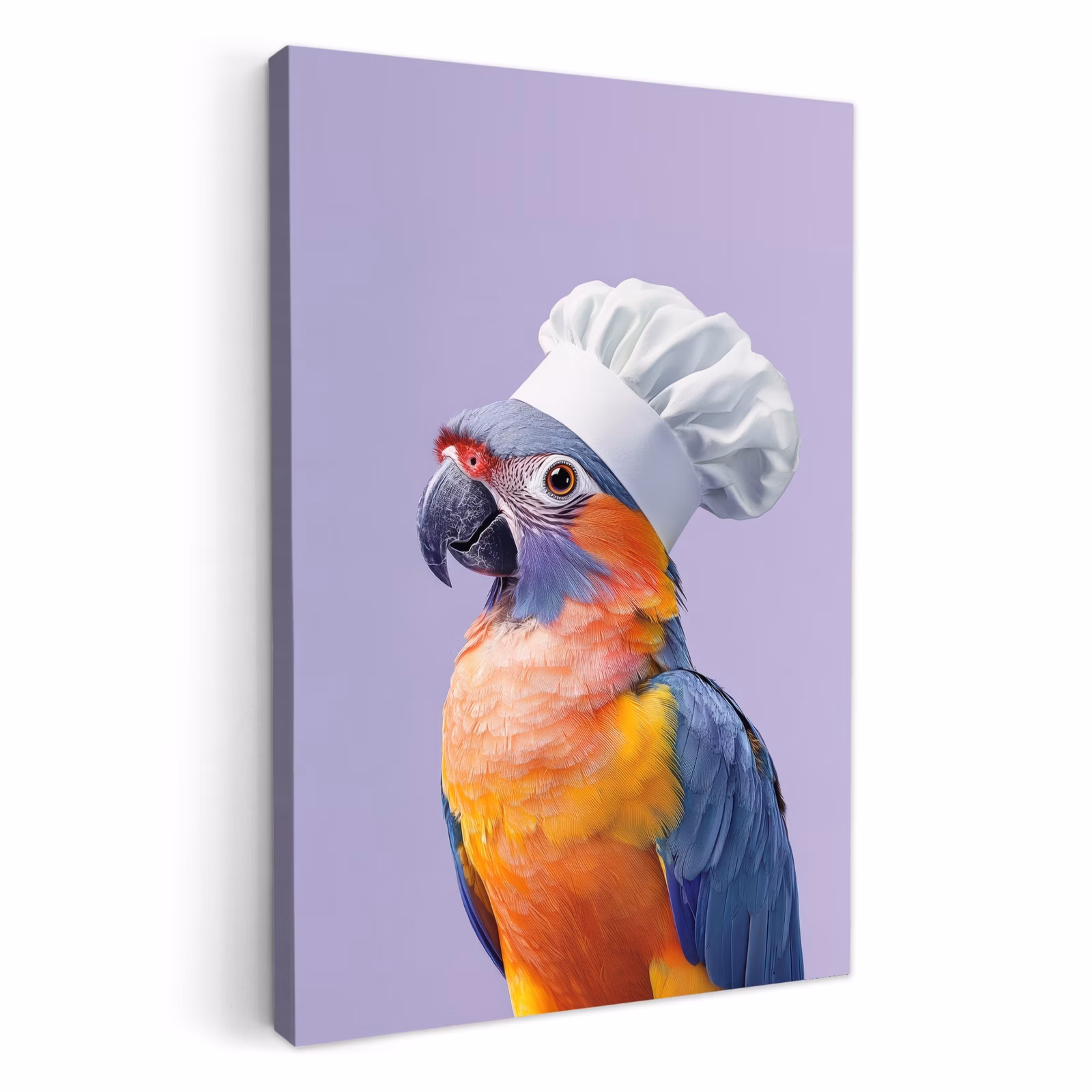 Dipinti su tela - Pappagallo - Cappello da cuoco - Viola - Carino — 1