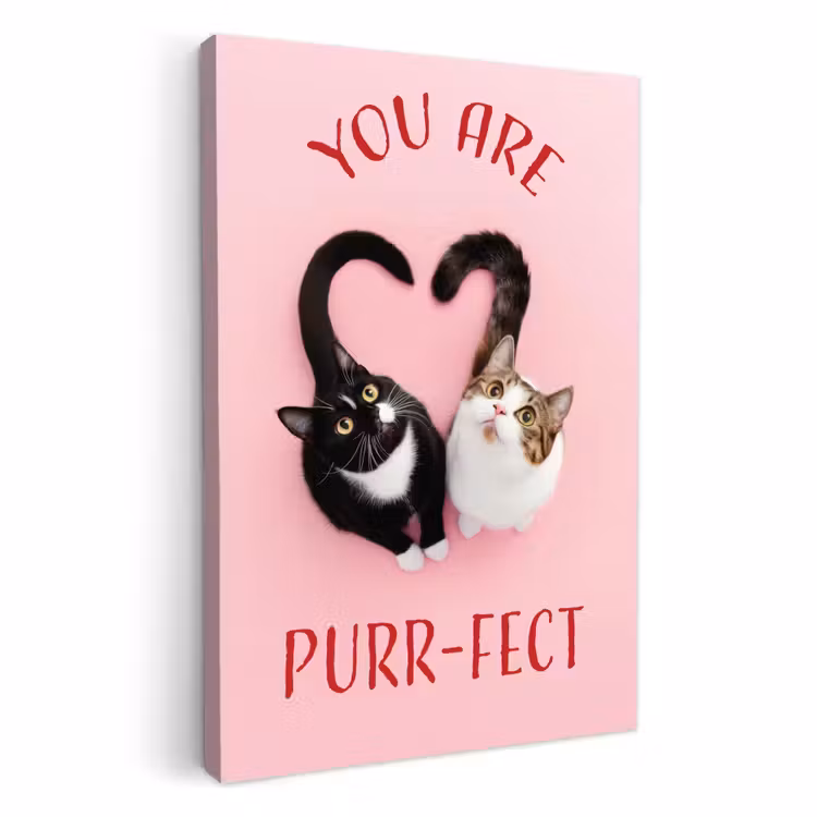 Dipinti su tela - Gatto - Cuore - Testo - San Valentino — 1