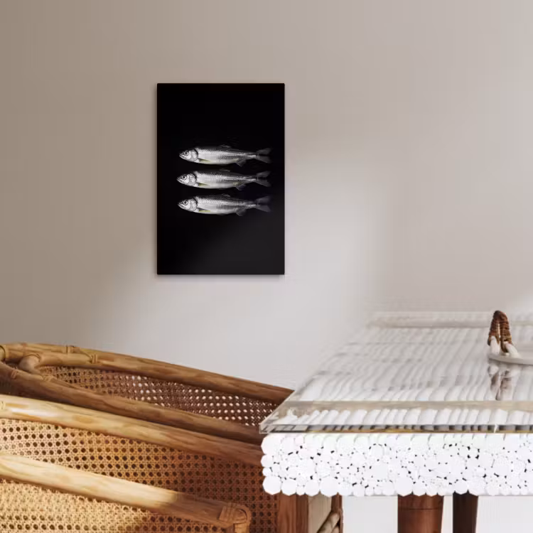 KitchenYeah - Cucina - Tela - Aringa - Pesce - Nero — 2