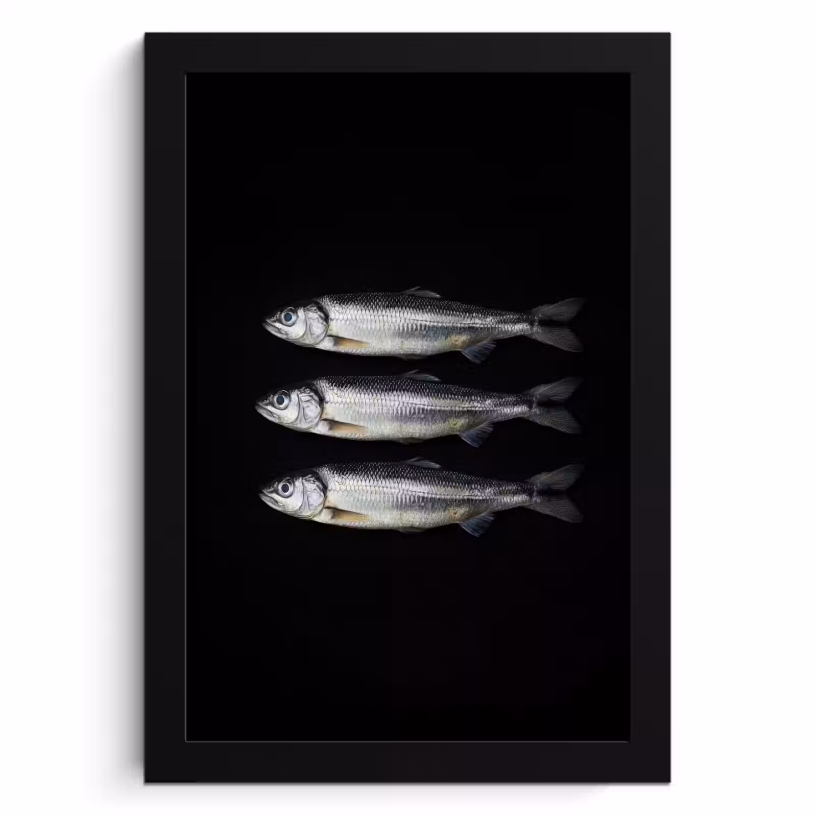 KitchenYeah - Cucina - Cornice per foto - Aringa - Pesce - Nero — 1