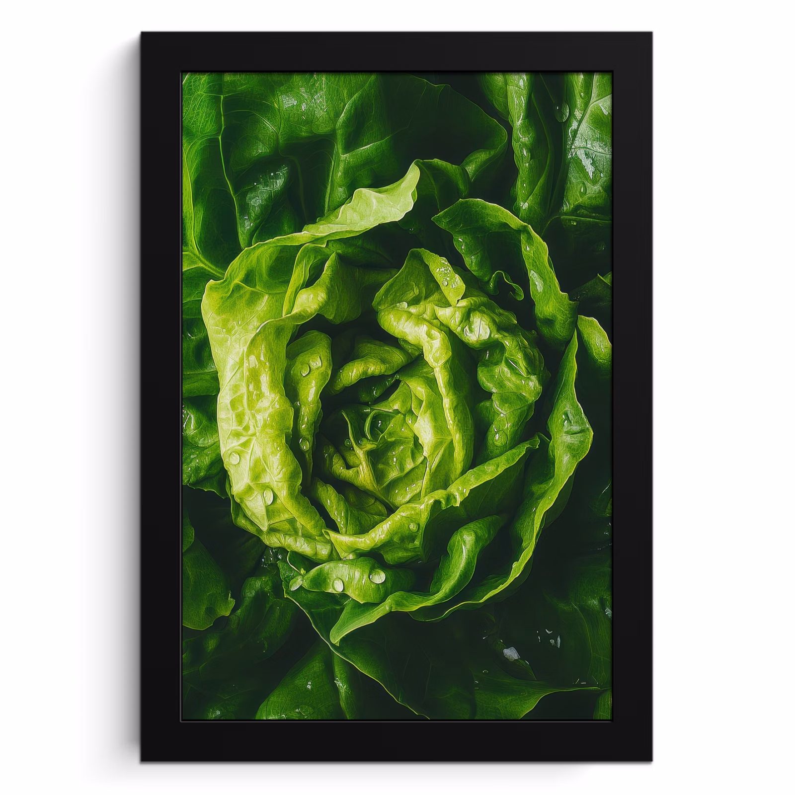 KitchenYeah - Cucina - Cornice per foto - Verdure - Lattuga - Verde — 1