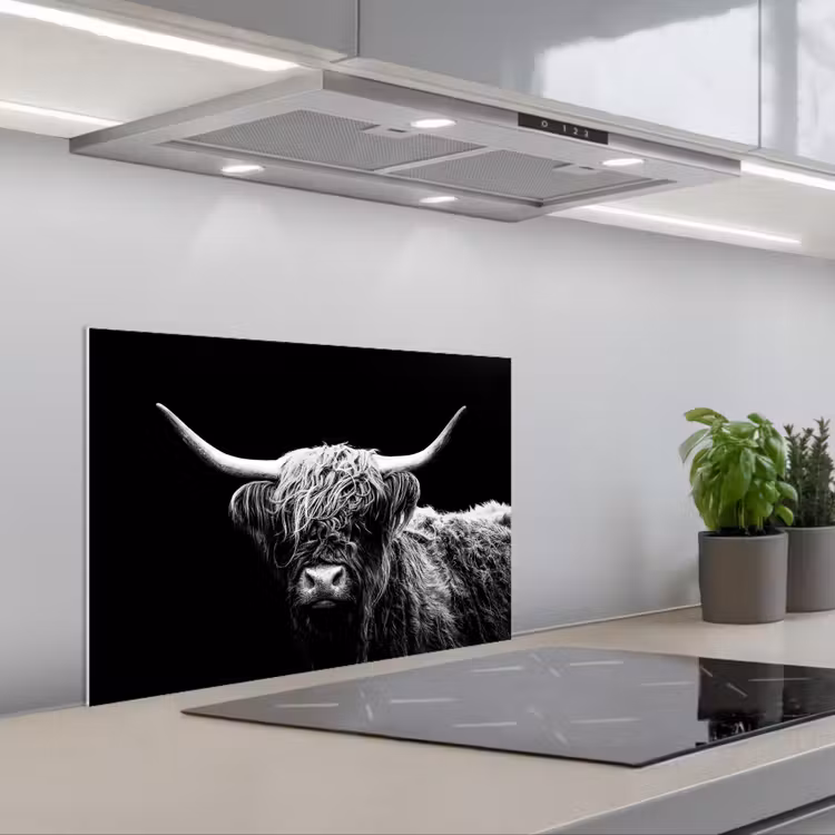 Paraschizzi cucina - Highlander scozzese - Mucca - Nero - Bianco - Animali — 1