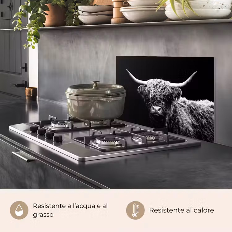 Paraschizzi cucina - Highlander scozzese - Mucca - Nero - Bianco - Animali — 2