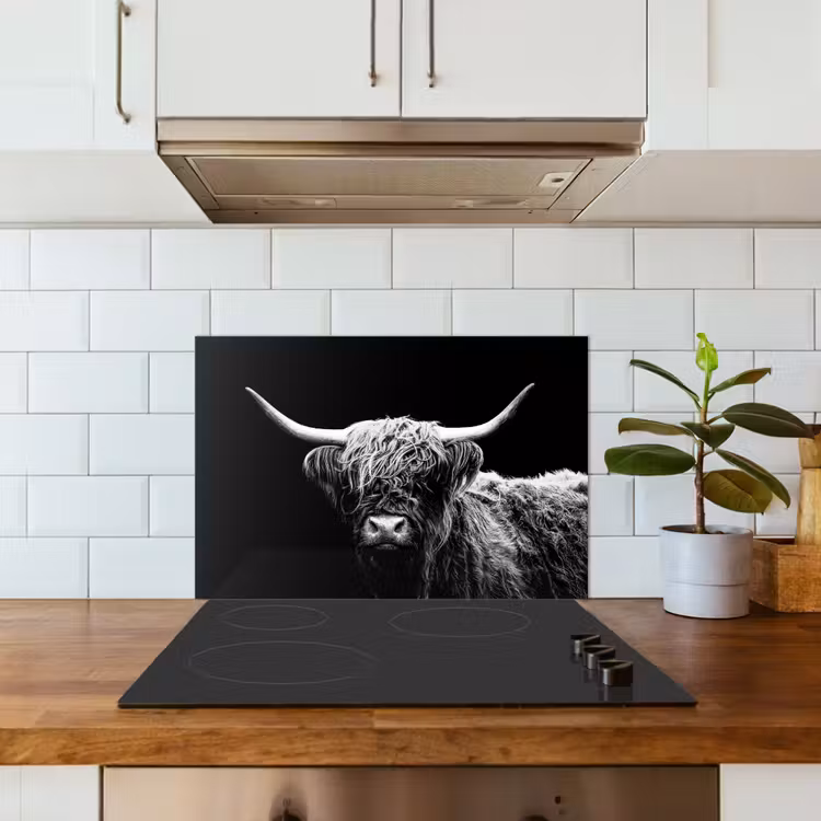 Paraschizzi cucina - Highlander scozzese - Mucca - Nero - Bianco - Animali — 3