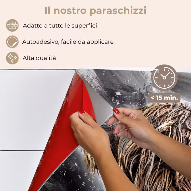 Paraschizzi cucina - Arte naturale — 4
