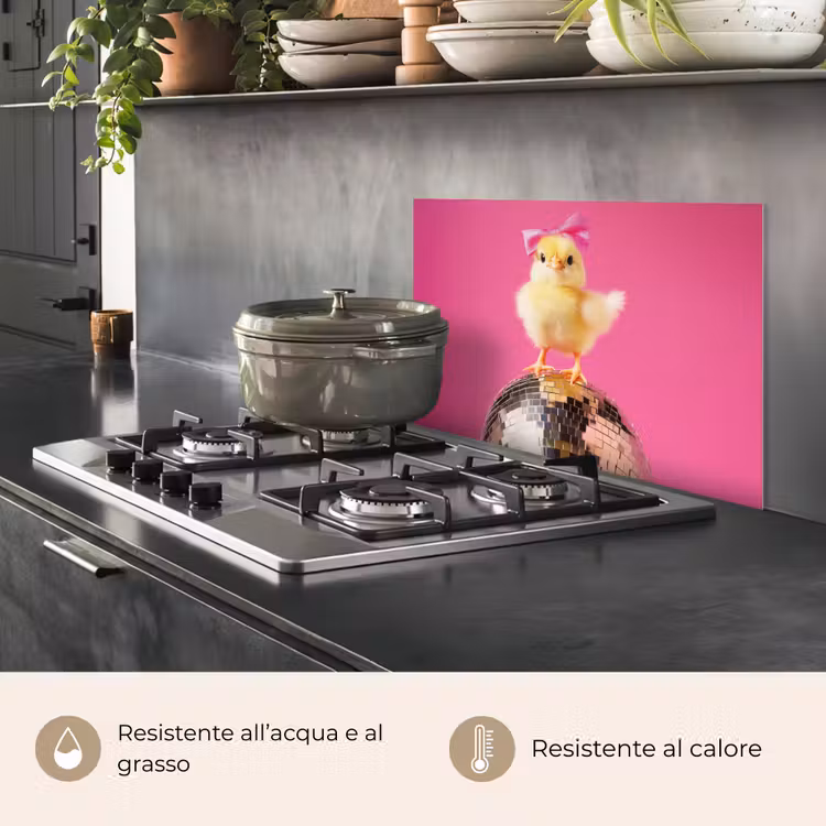 Paraschizzi cucina - Discoball - Pulcino - Arco — 2