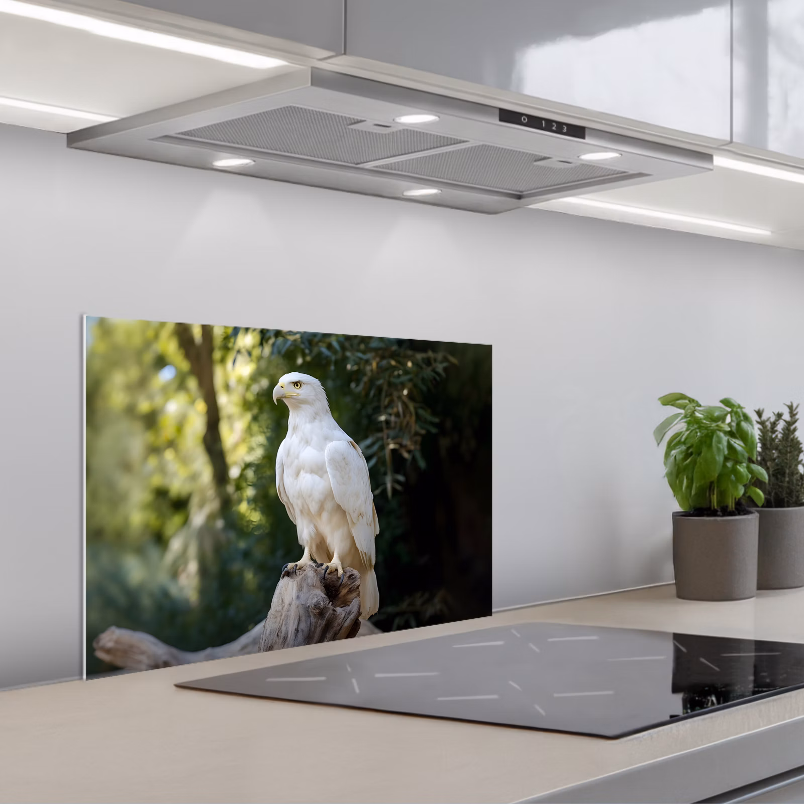 Paraschizzi cucina - Aquila - Legno - Bianco - Piante — 1
