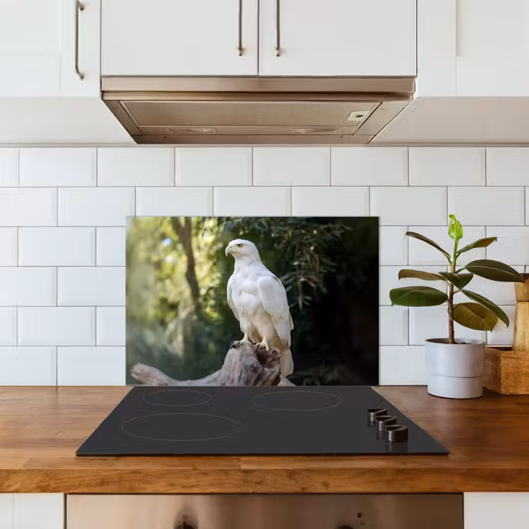 Paraschizzi cucina - Aquila - Legno - Bianco - Piante — 3