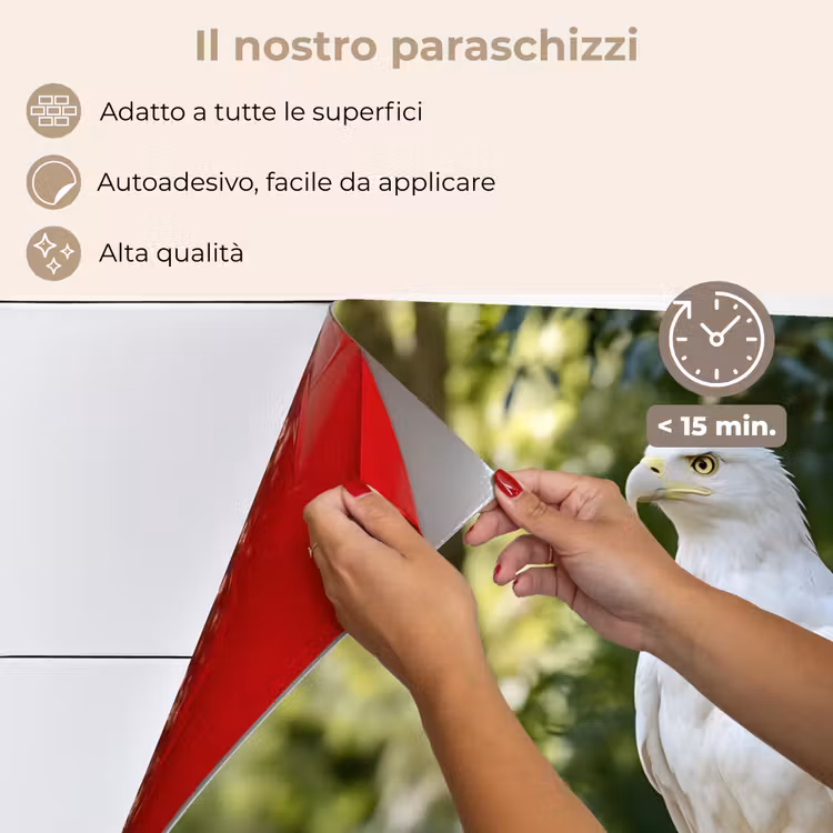 Paraschizzi cucina - Aquila - Legno - Bianco - Piante — 4