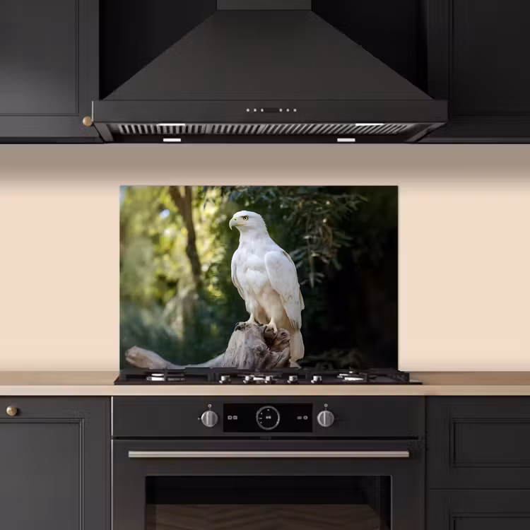 Paraschizzi cucina - Aquila - Legno - Bianco - Piante — 5