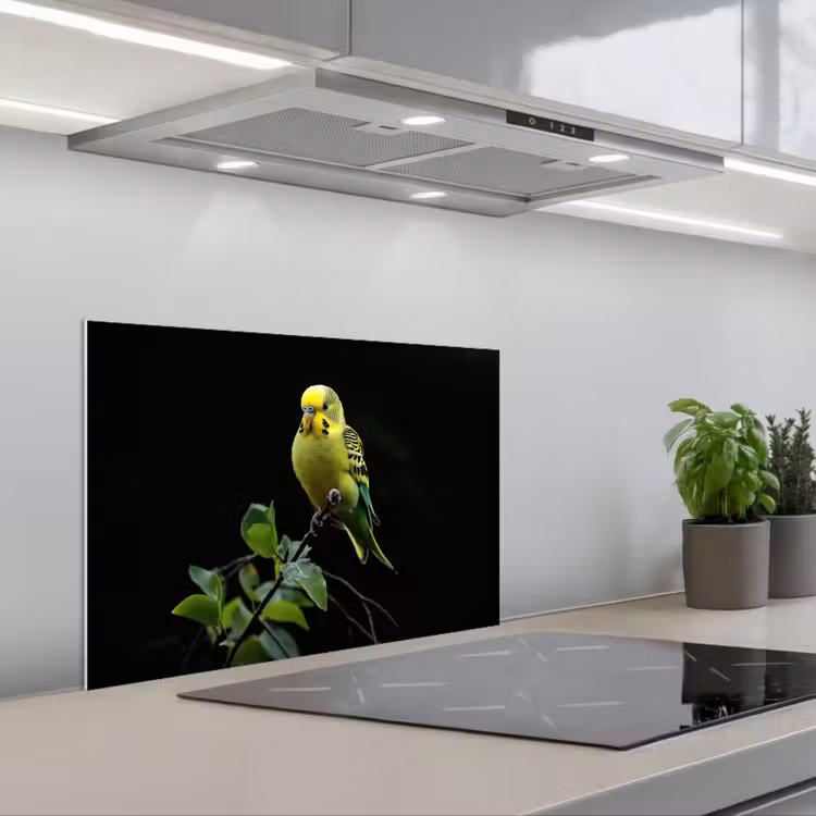 Paraschizzi cucina - Cocorita - Ramo - Foglie - Giallo — 1