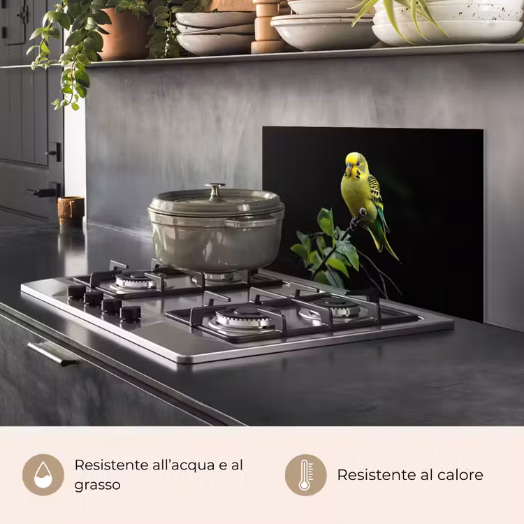 Paraschizzi cucina - Cocorita - Ramo - Foglie - Giallo — 2